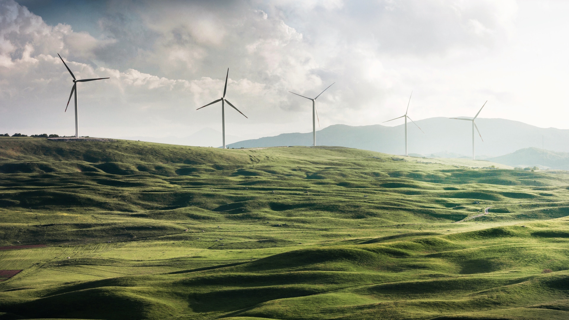Themenfelder der strategischen Partnerschaft von EDEKA und WWF: Klimaziele