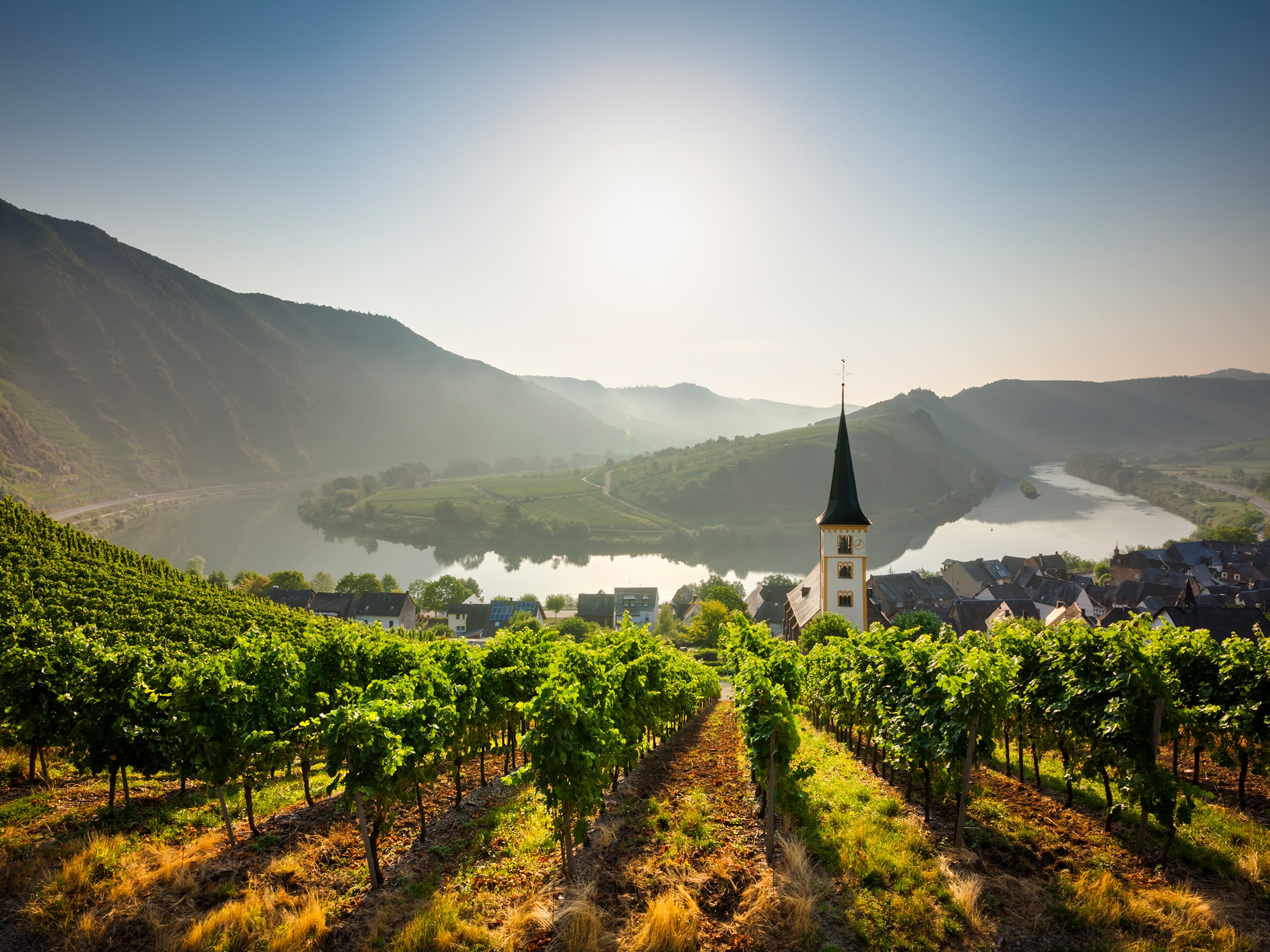 Weinhänge an einem Fluss mit Kirche und Bergen im Hintergrund.