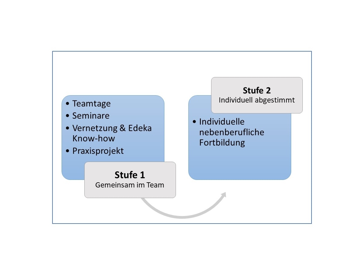 Grafik Stufen NFP-Prozess