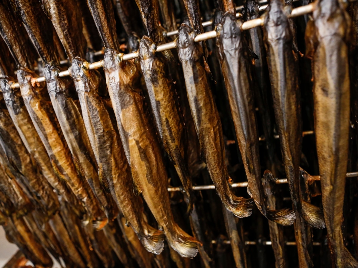 Räucherfisch