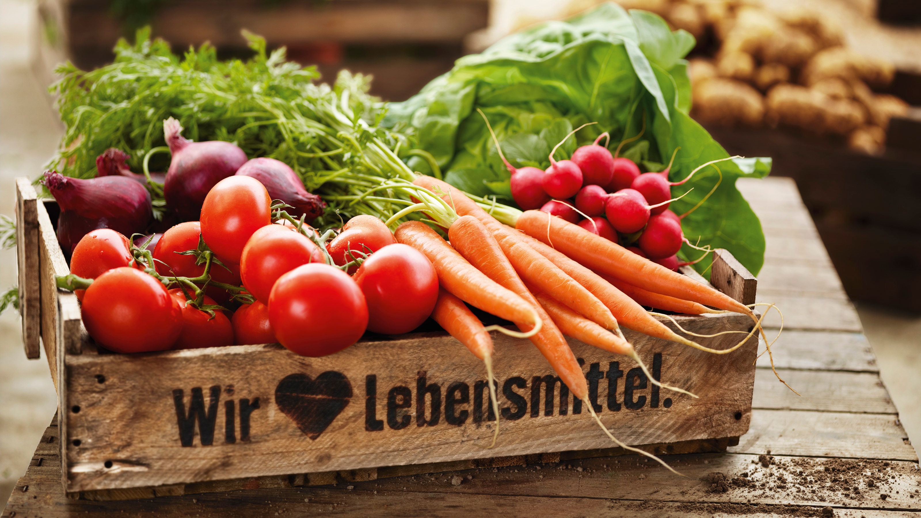Ein Holzkorb mit Tomaten, Bundmöhren und Radieschen. Im Hintergrund ein grüner Salat.