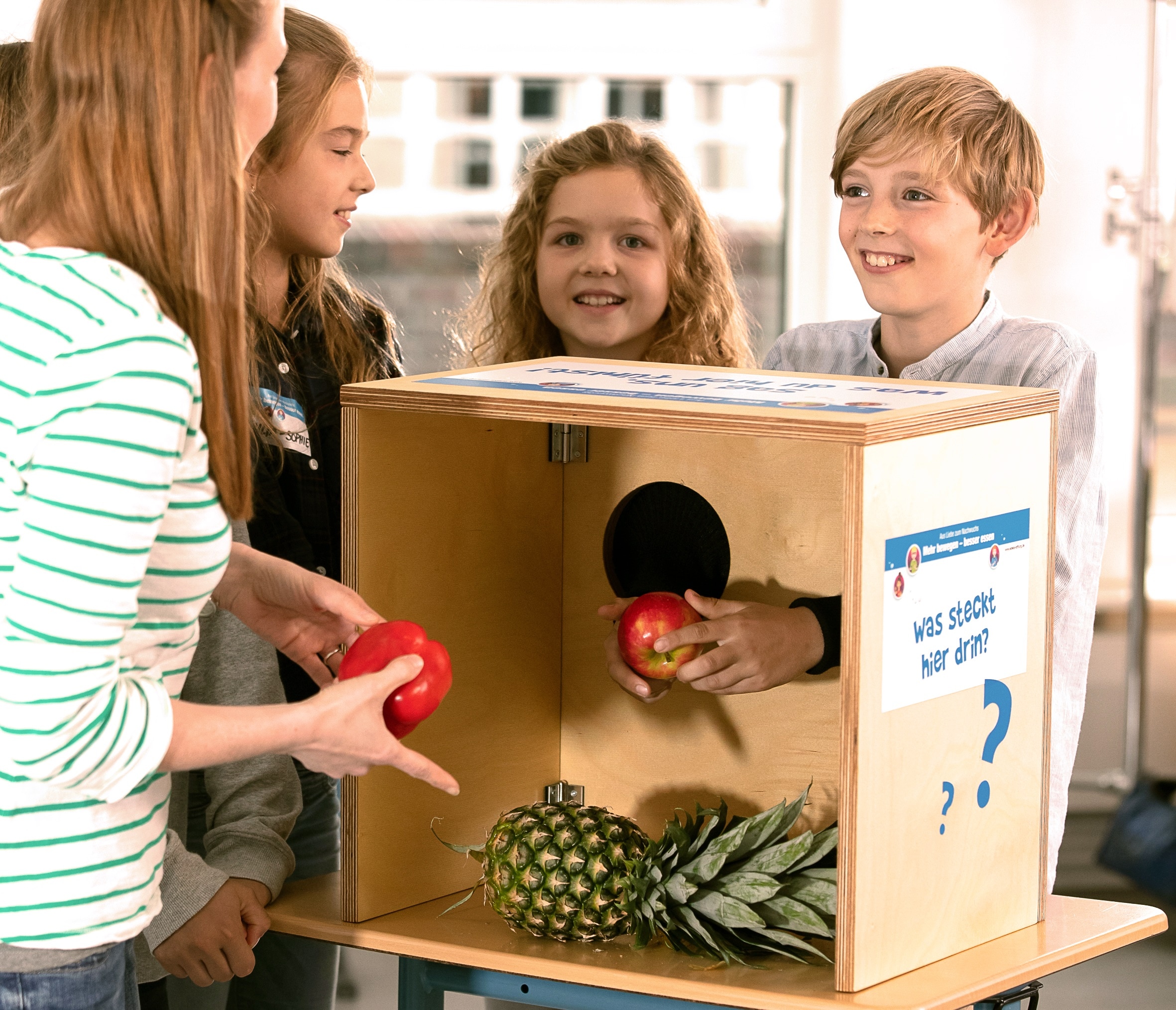 Obst und Gemüse Fühlboxen