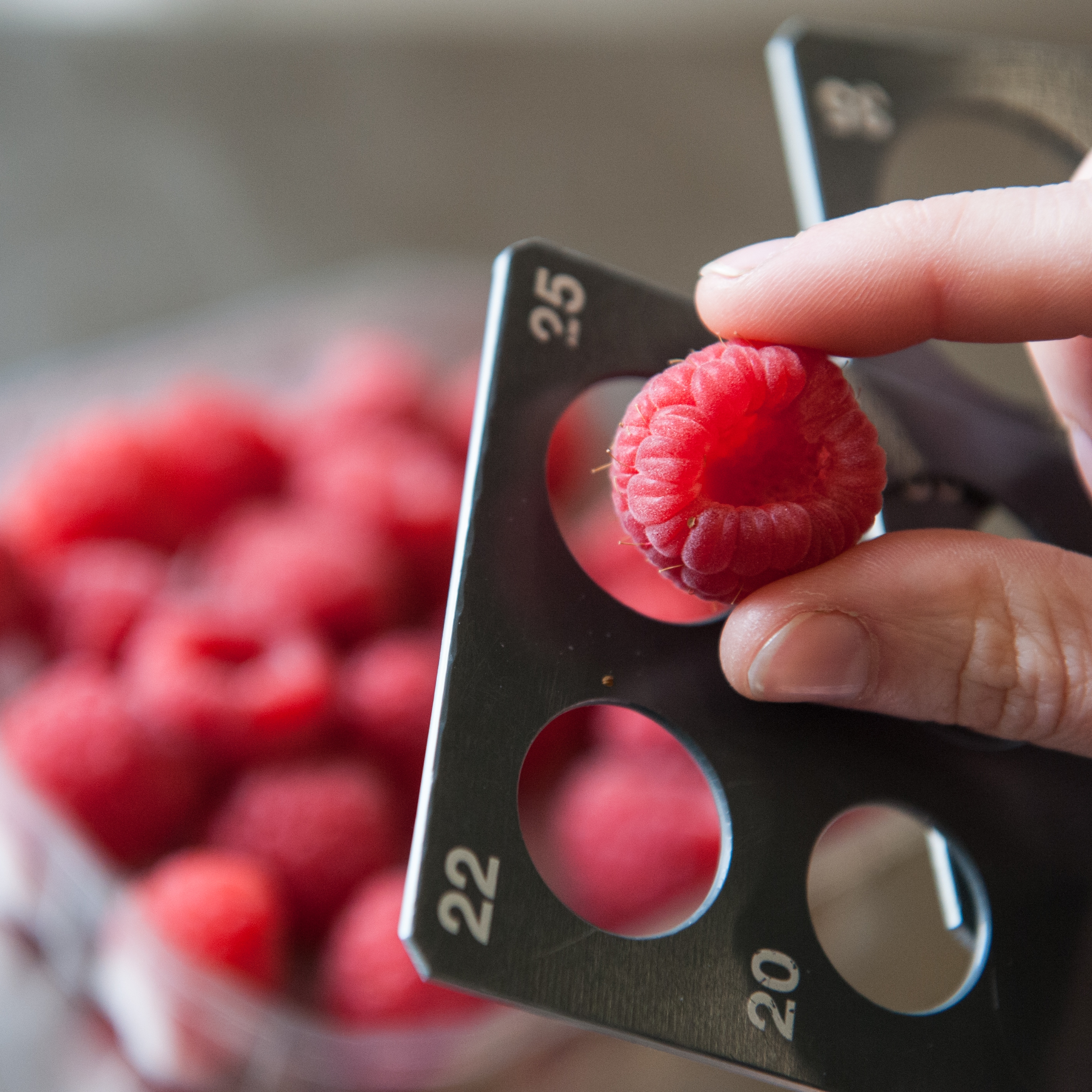 Himbeeren Qualitätsabmessung