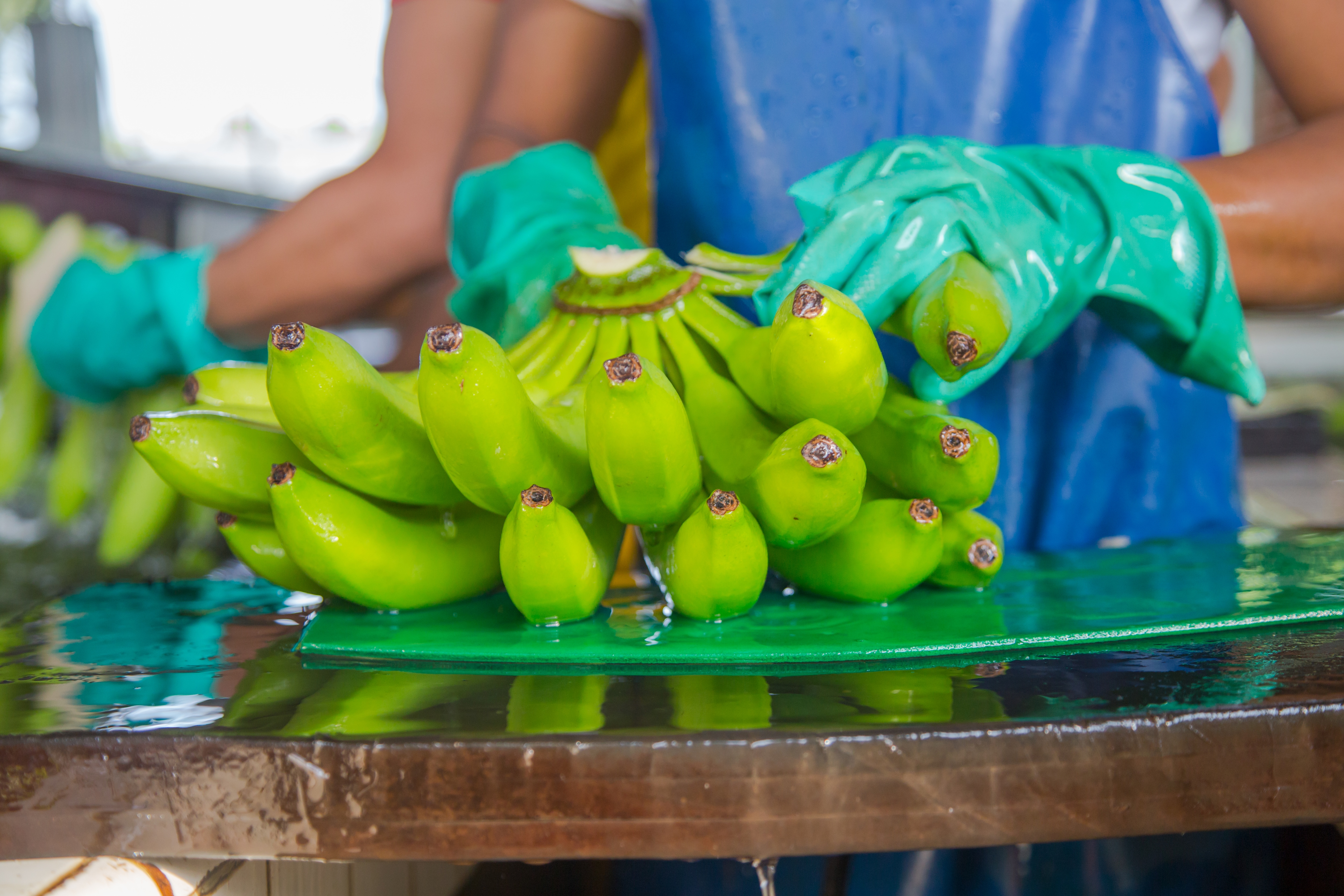 EDEKA Bananen