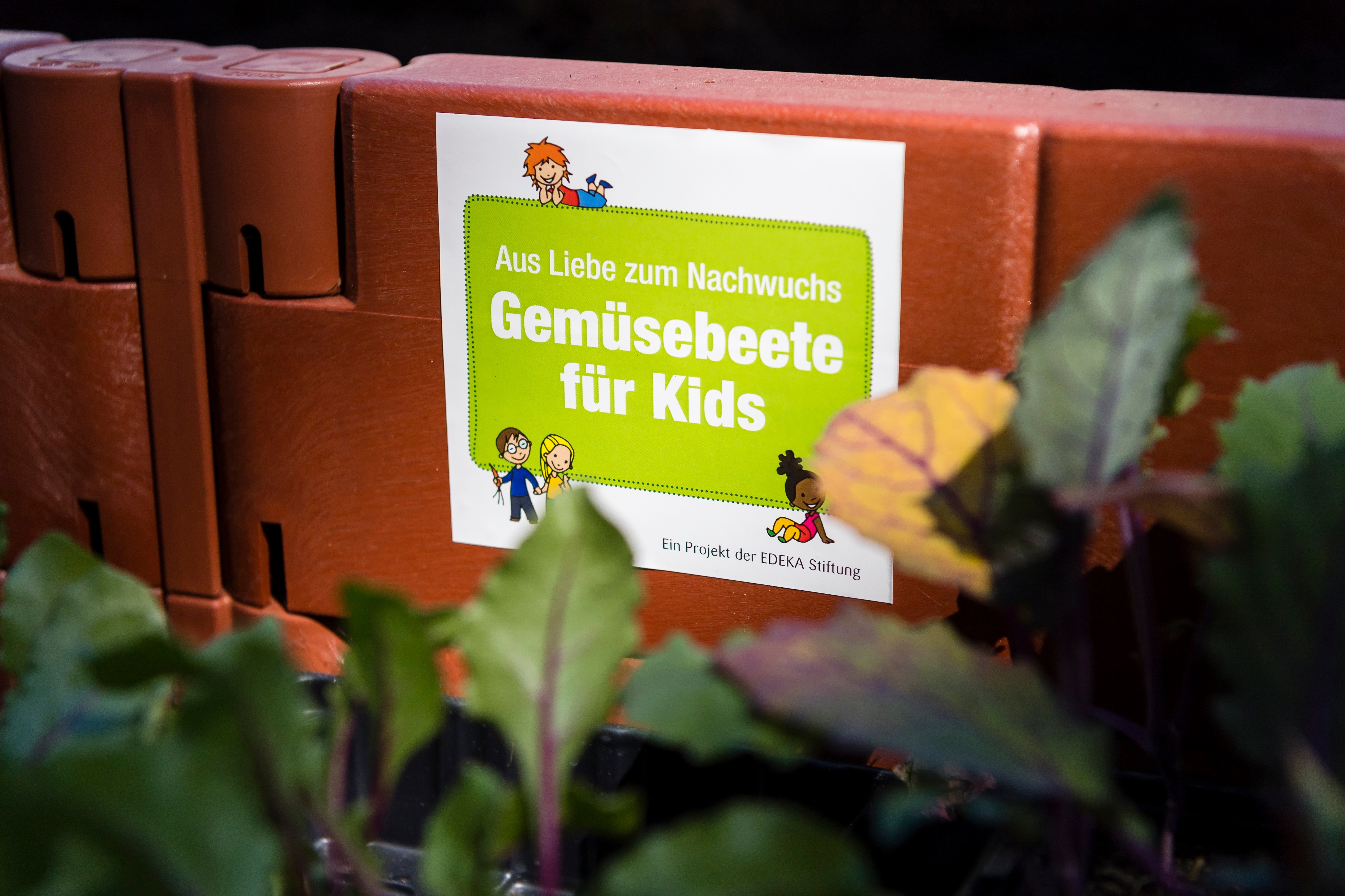 Mehr über Gemüsebeete für Kids erfahren.